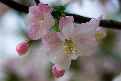 隆重宣布《使命召唤：黑色行动7》回归！